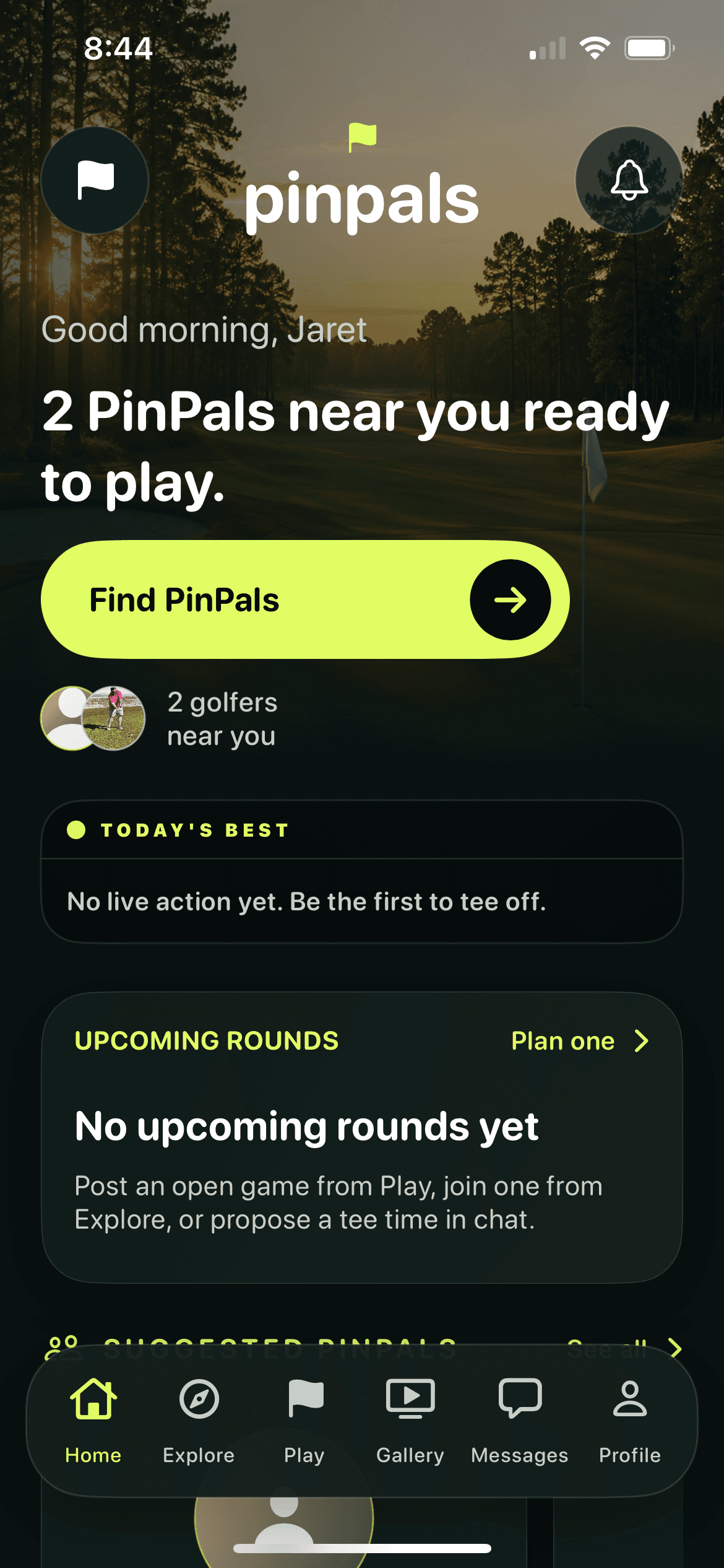 PinPals iPhone home screen — PinPals near you ready to play